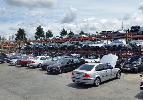 Old Car Buyer brisbane